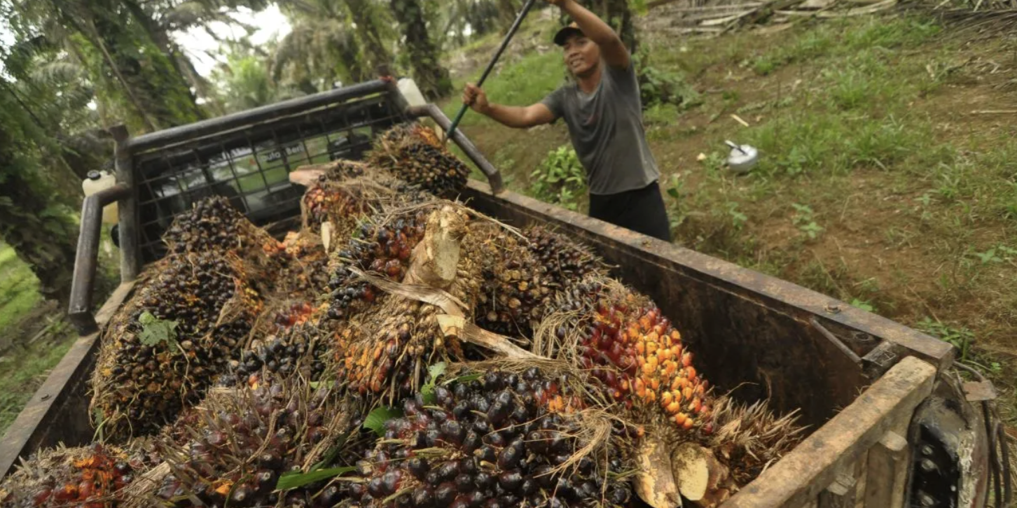 Screenshot 2023-11-28 at 08.23.36