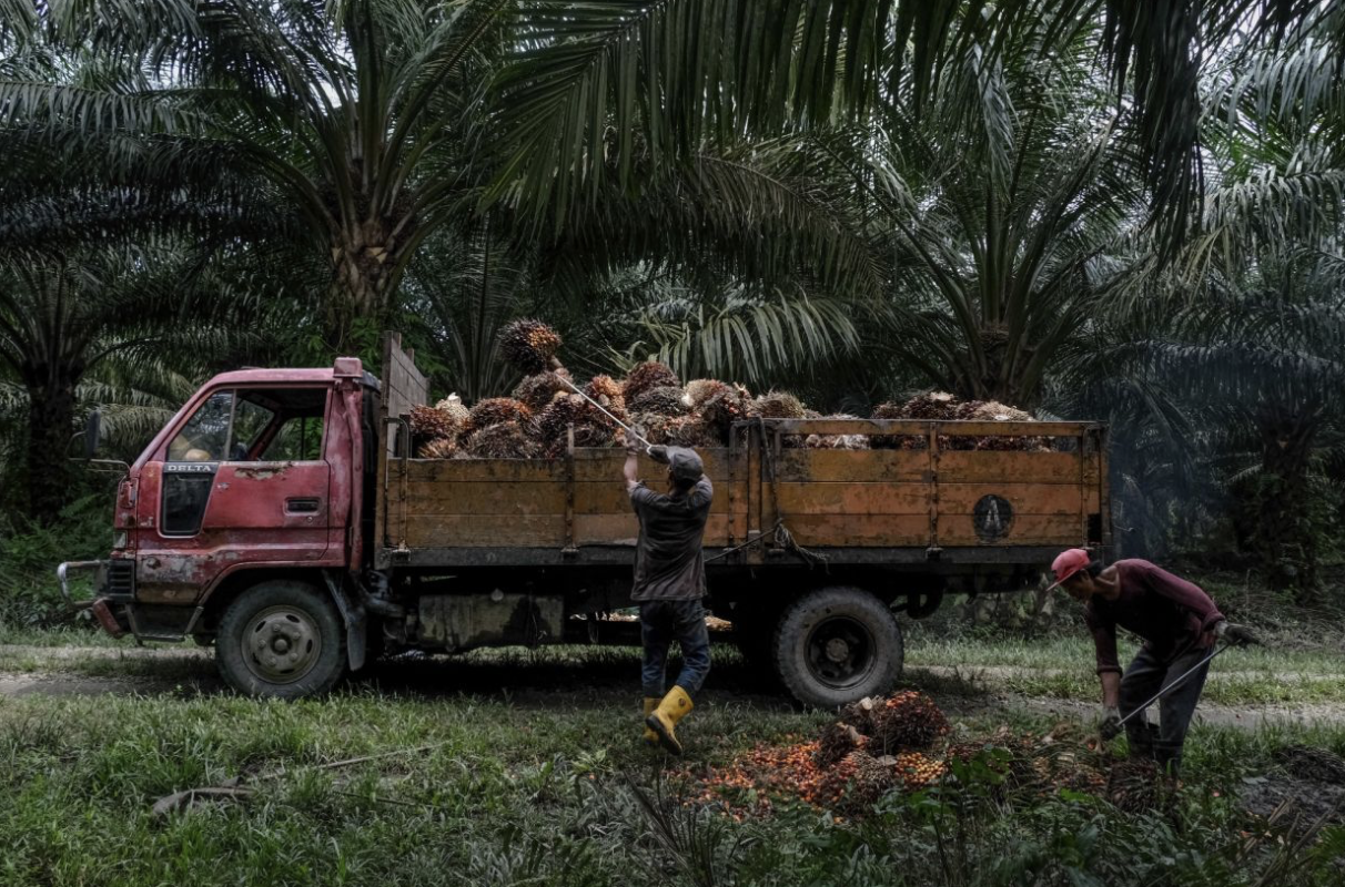 Screenshot 2023-12-08 at 08.35.15