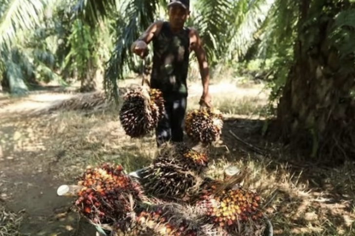 Screenshot-2023-12-22-at-08.47.53-1092×546