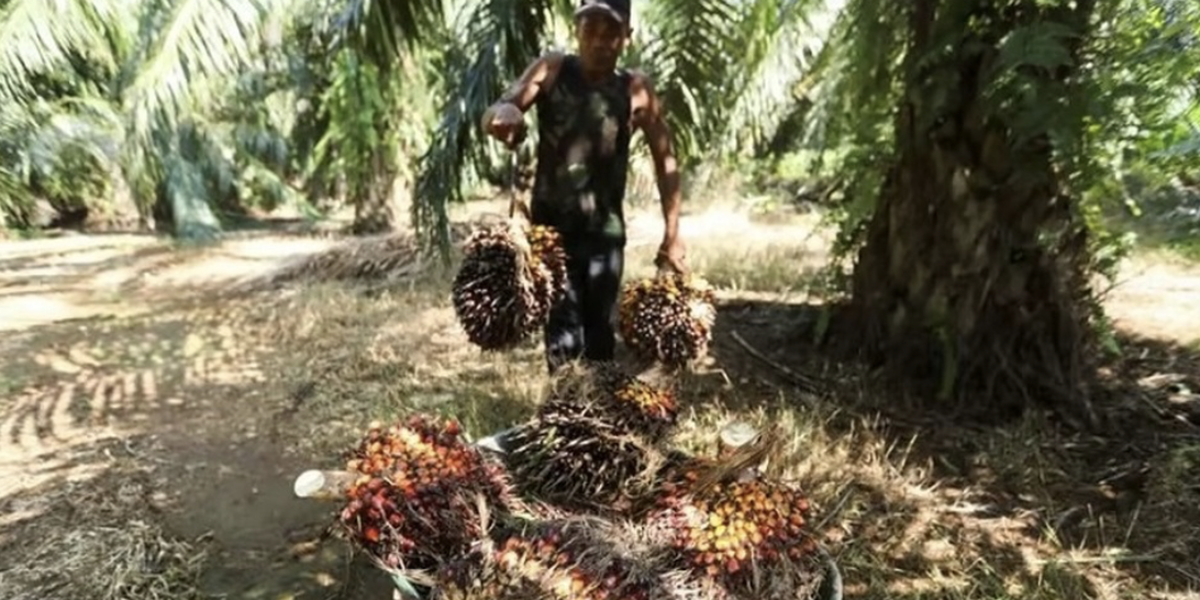 Screenshot 2023-12-22 at 08.47.53