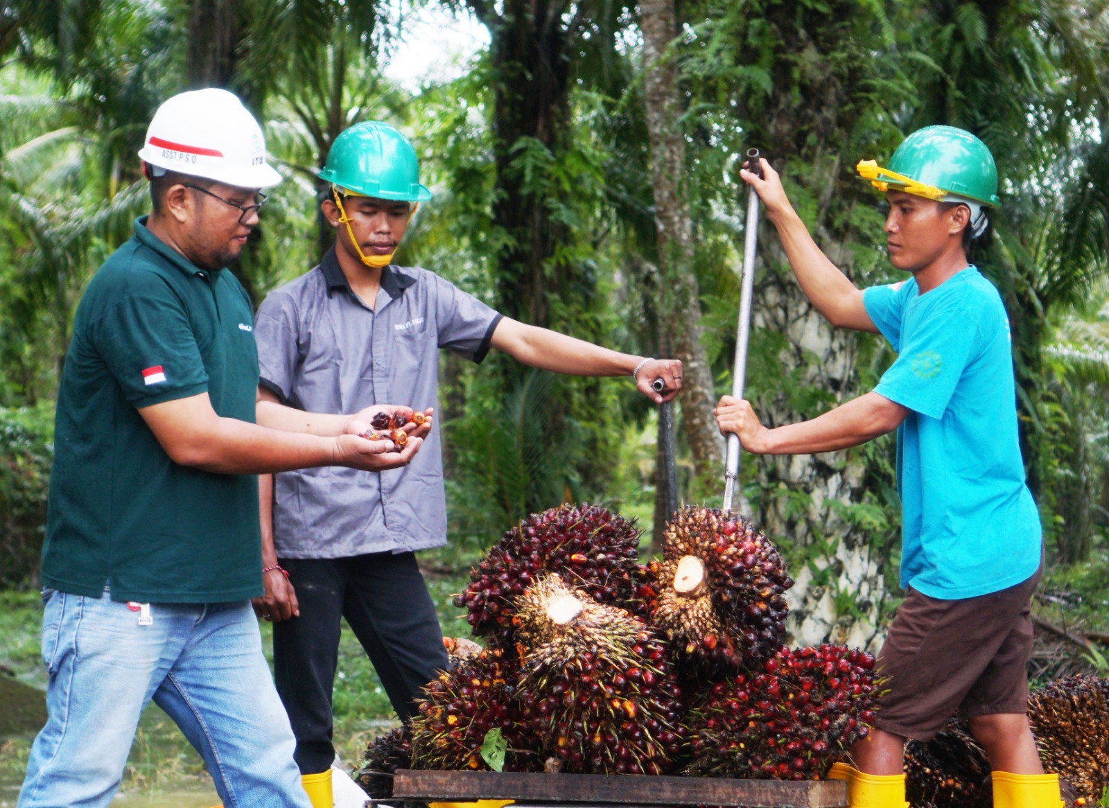 WhatsApp Image 2023-12-13 at 3.23.44 PM