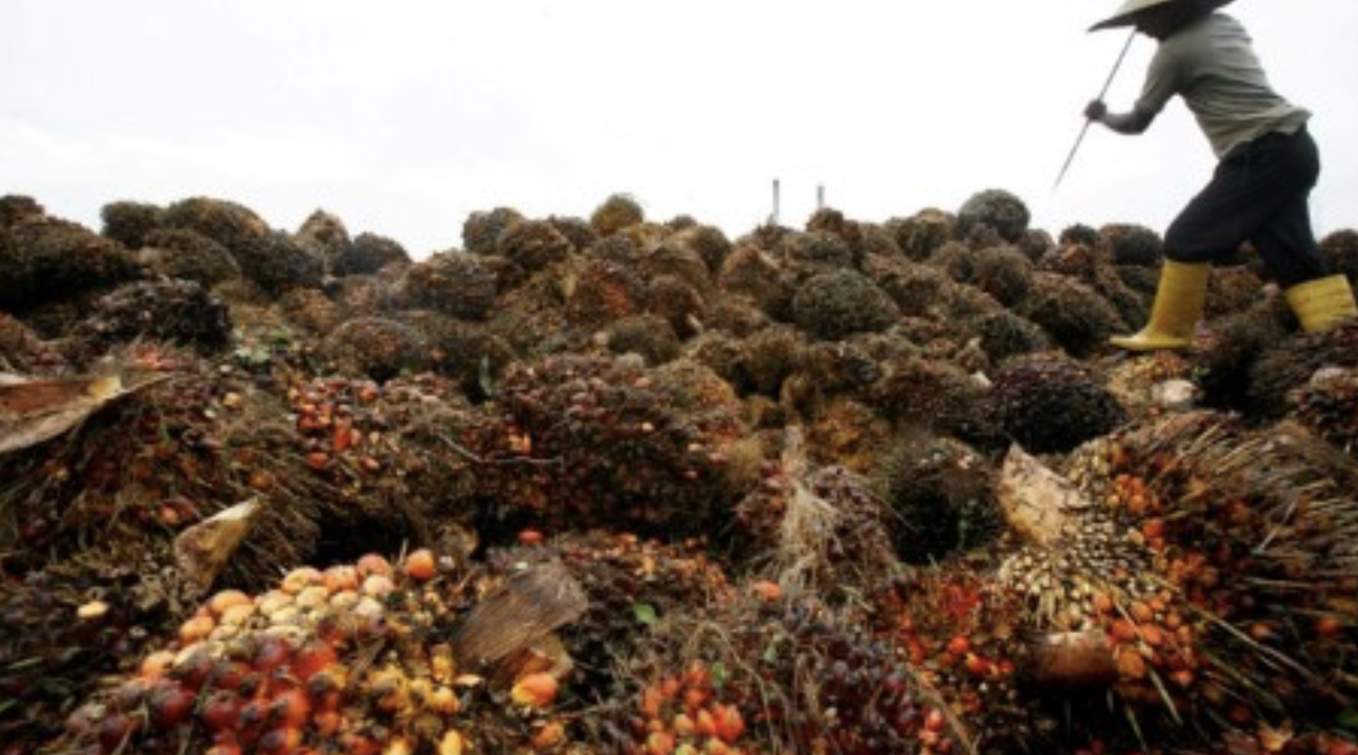 Screenshot 2024-01-18 at 10.00.10