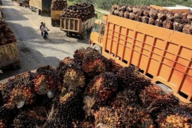 Screenshot 2024-02-09 at 09.10.17