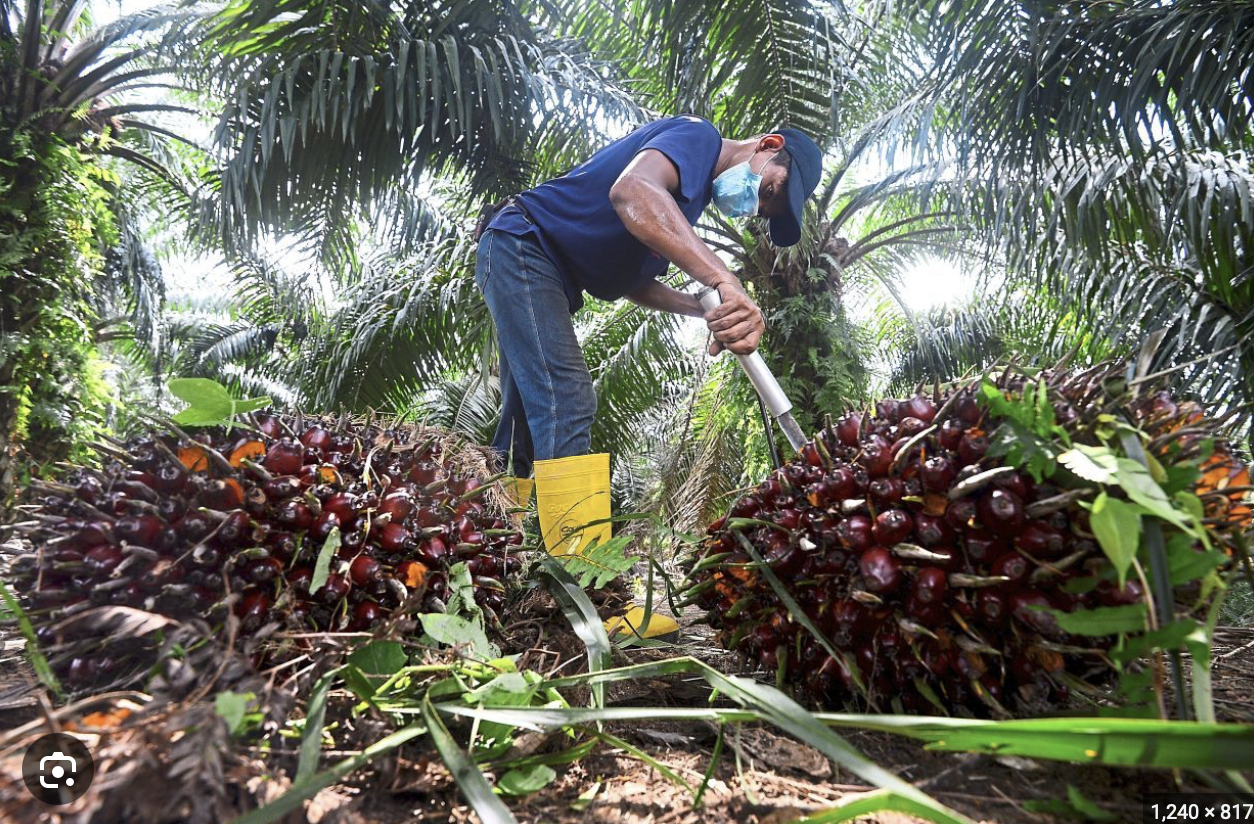 Screenshot 2024-02-09 at 09.15.03