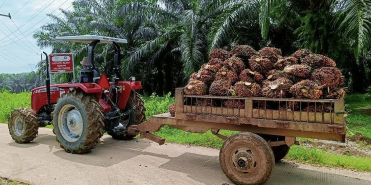 Screenshot 2024-03-05 at 07.30.28