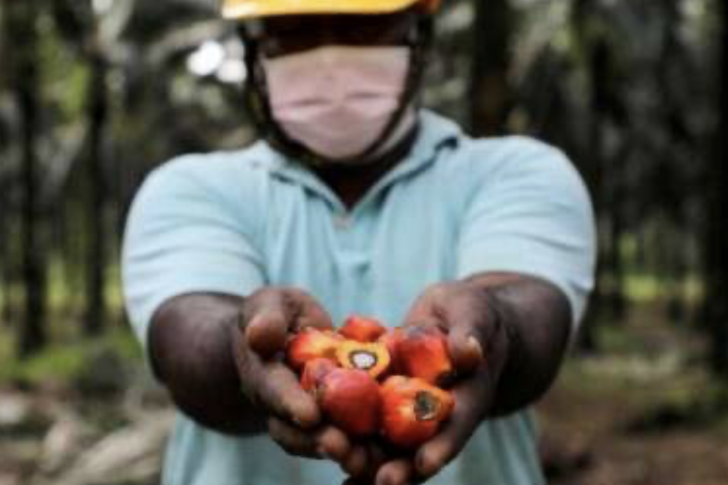 Screenshot 2024-03-15 at 09.29.57