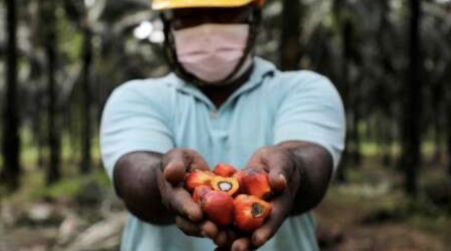 Screenshot 2024-03-15 at 09.29.57