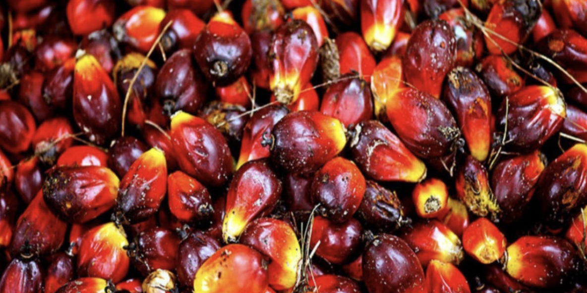 Screenshot 2024-03-15 at 09.30.08