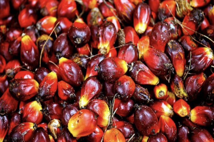 Screenshot 2024-03-15 at 09.30.08