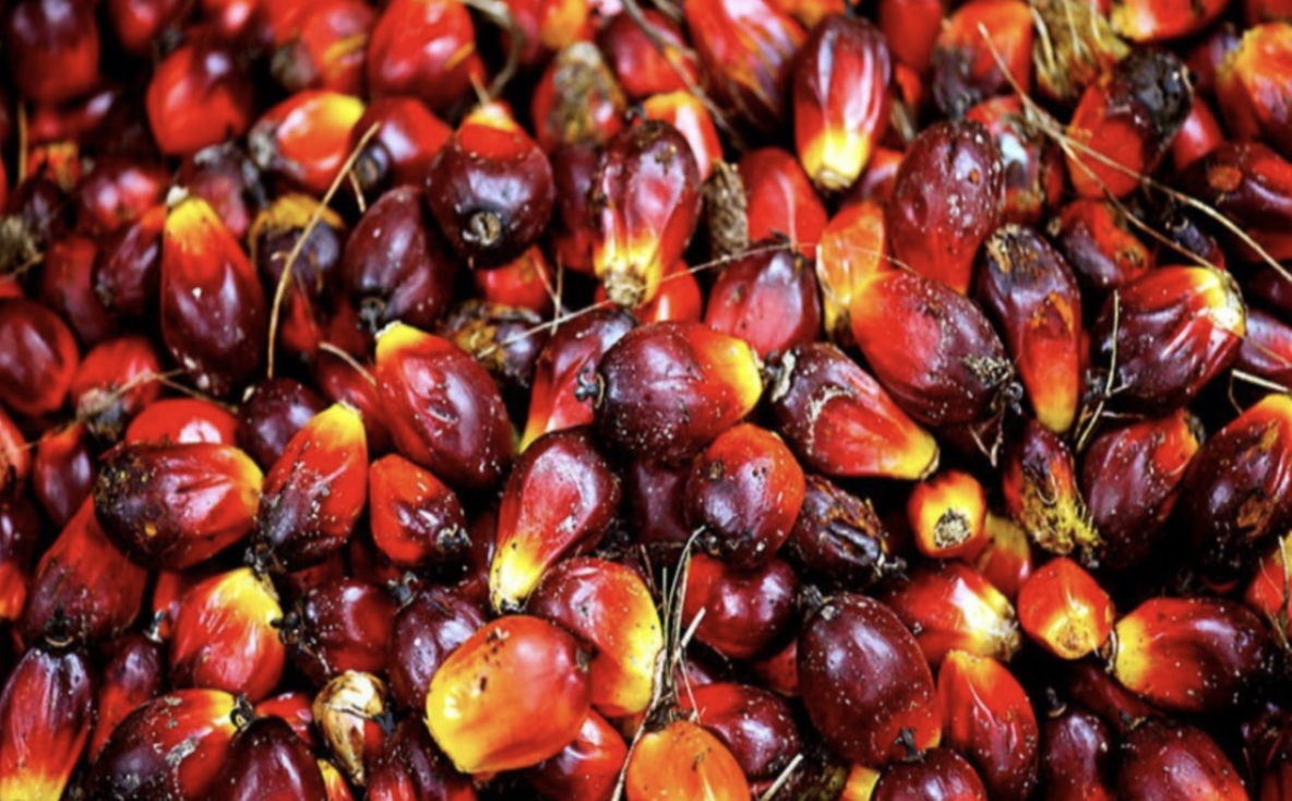 Screenshot 2024-03-15 at 09.30.08