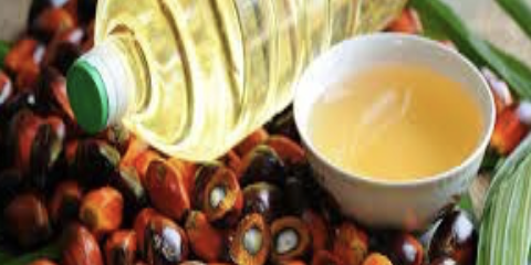 Screenshot 2024-03-19 at 13.39.58