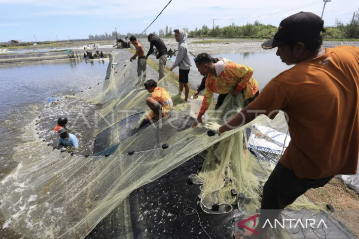 Screenshot 2024-03-26 at 09.18.33