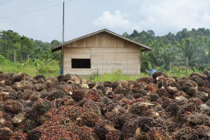 Screenshot 2024-03-27 at 18.46.05