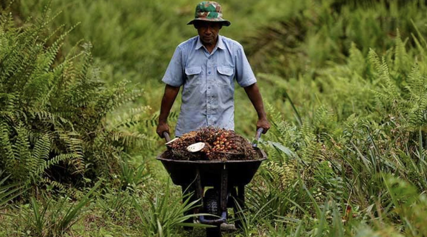 Screenshot 2024-04-02 at 16.30.28