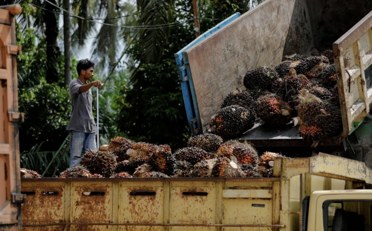 Screenshot 2024-04-26 at 14.59.50