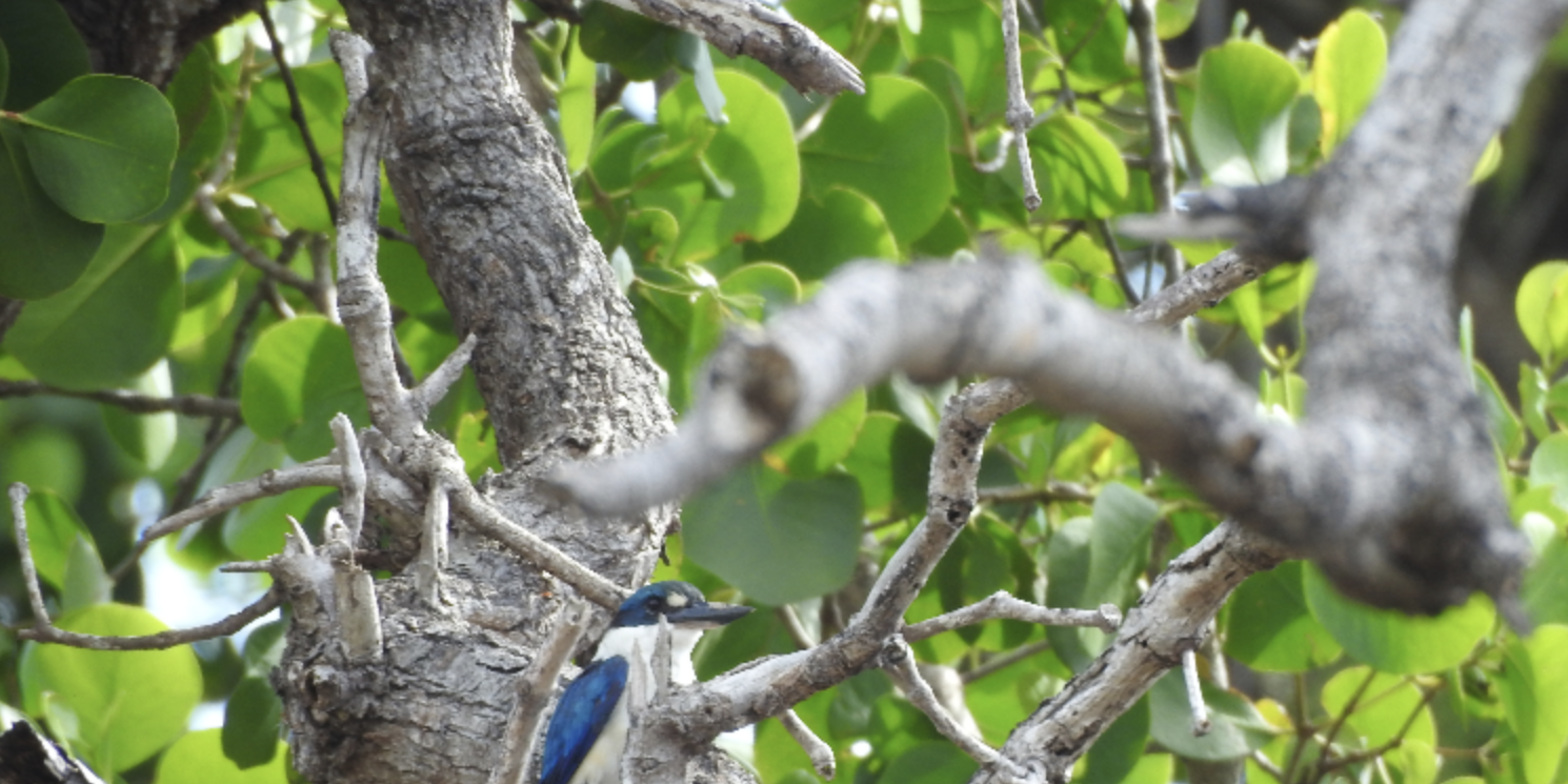 Screenshot 2024-05-02 at 16.28.48