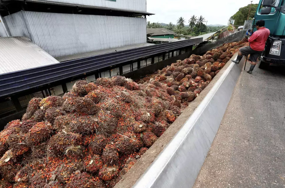 Screenshot 2024-05-02 at 16.52.26