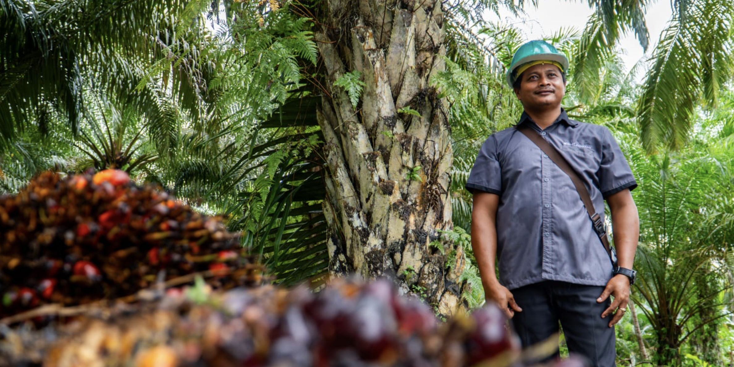 Screenshot 2024-05-07 at 08.51.28