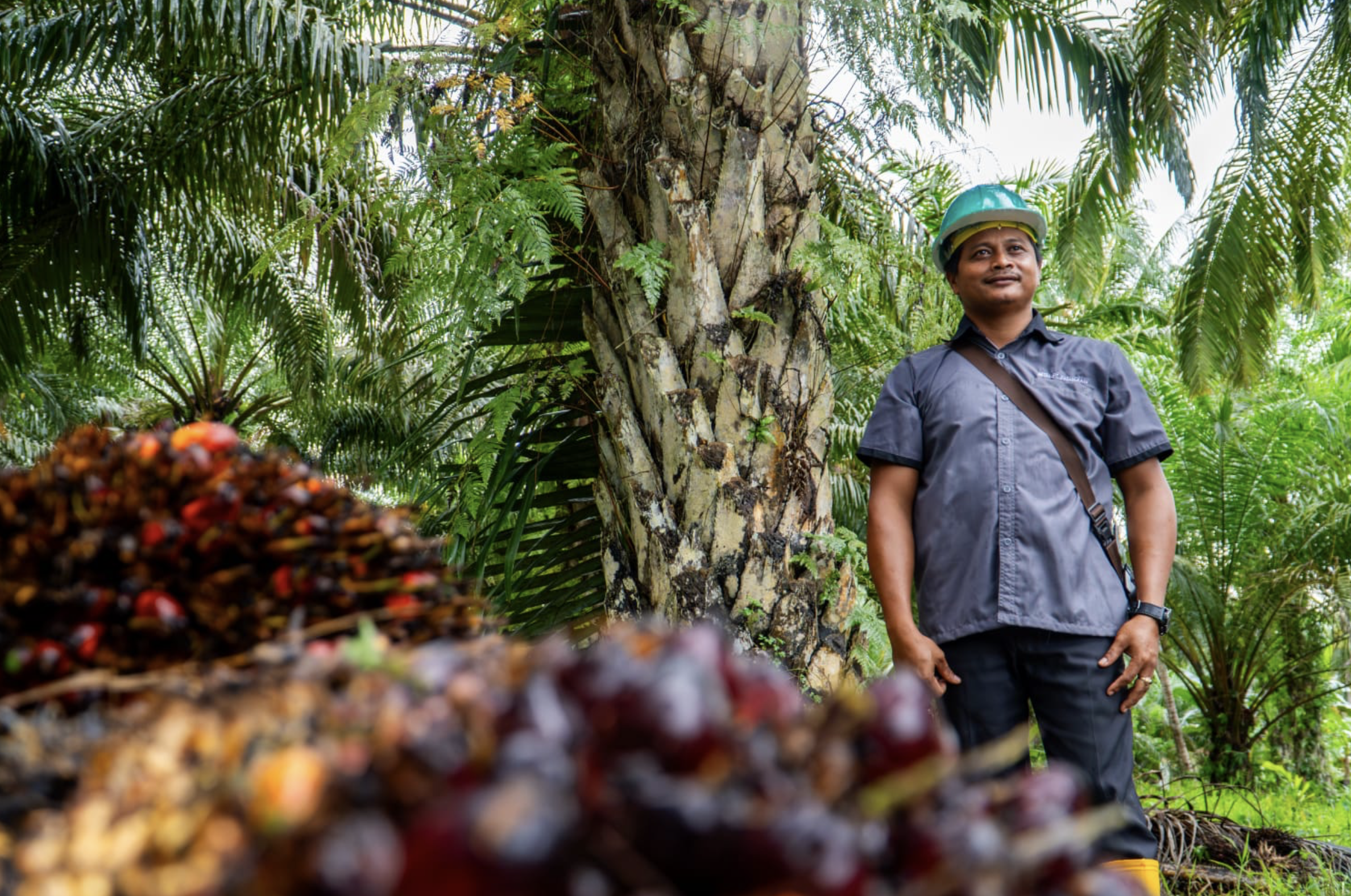 Screenshot 2024-05-07 at 08.51.28