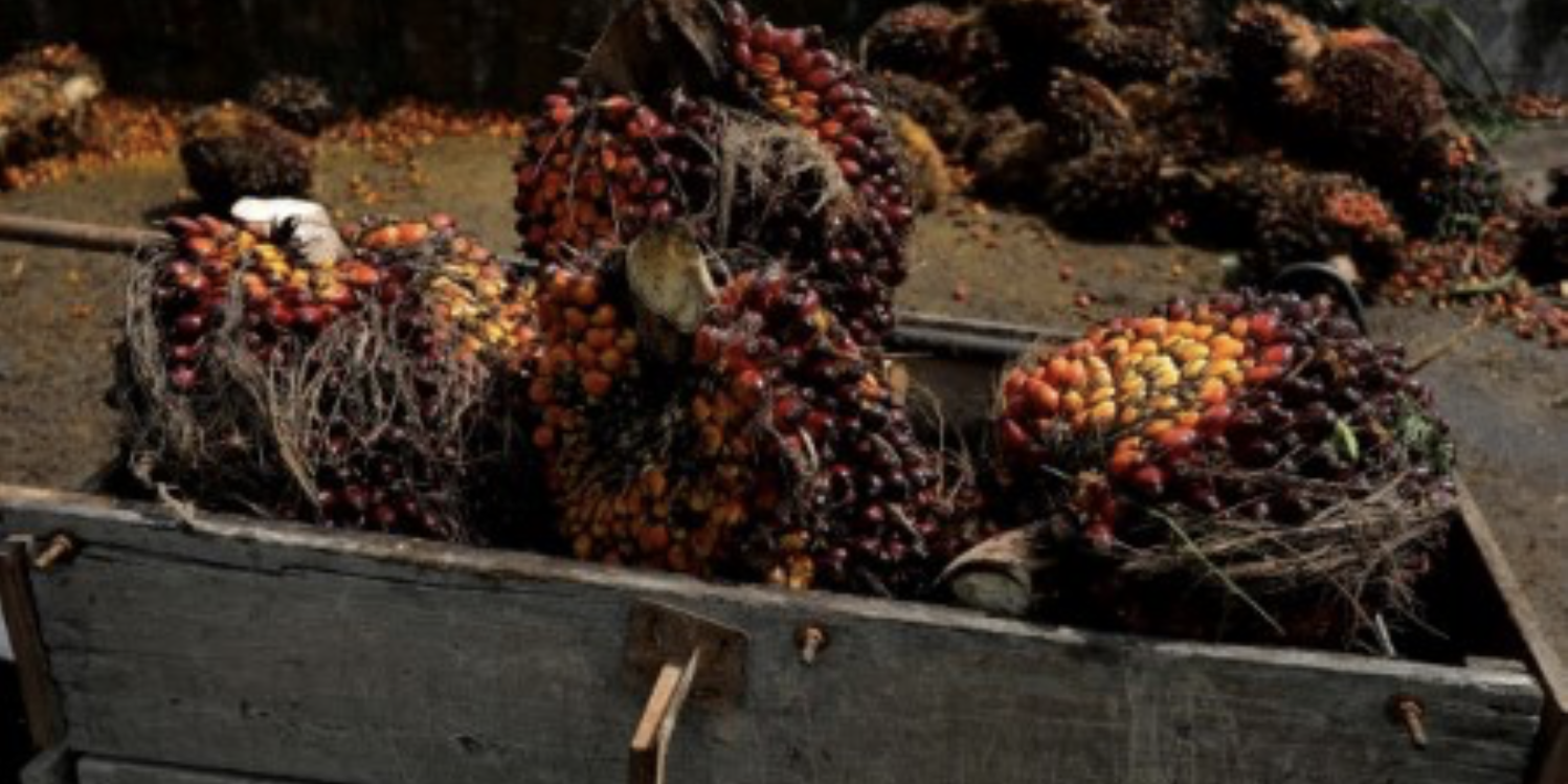 Screenshot 2024-05-13 at 15.16.38