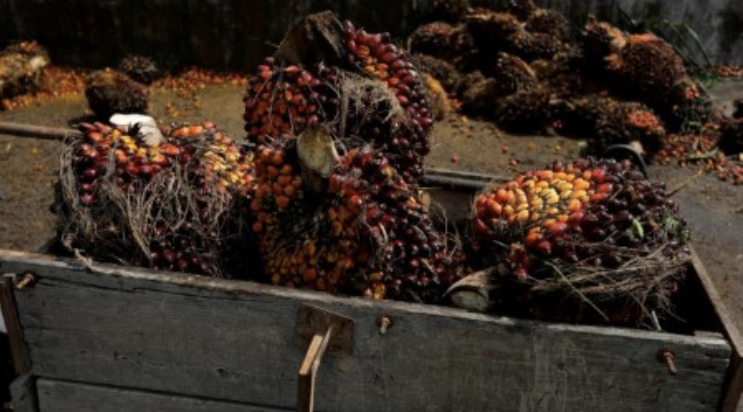 Screenshot 2024-05-13 at 15.16.38