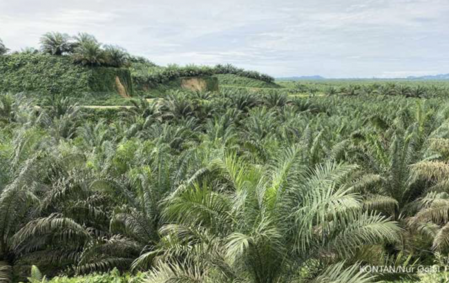 Screenshot 2024-05-15 at 08.18.59