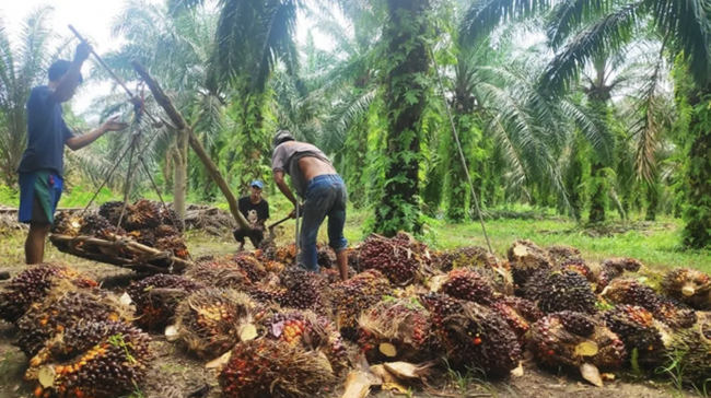 Screenshot 2024-05-16 at 08.40.34