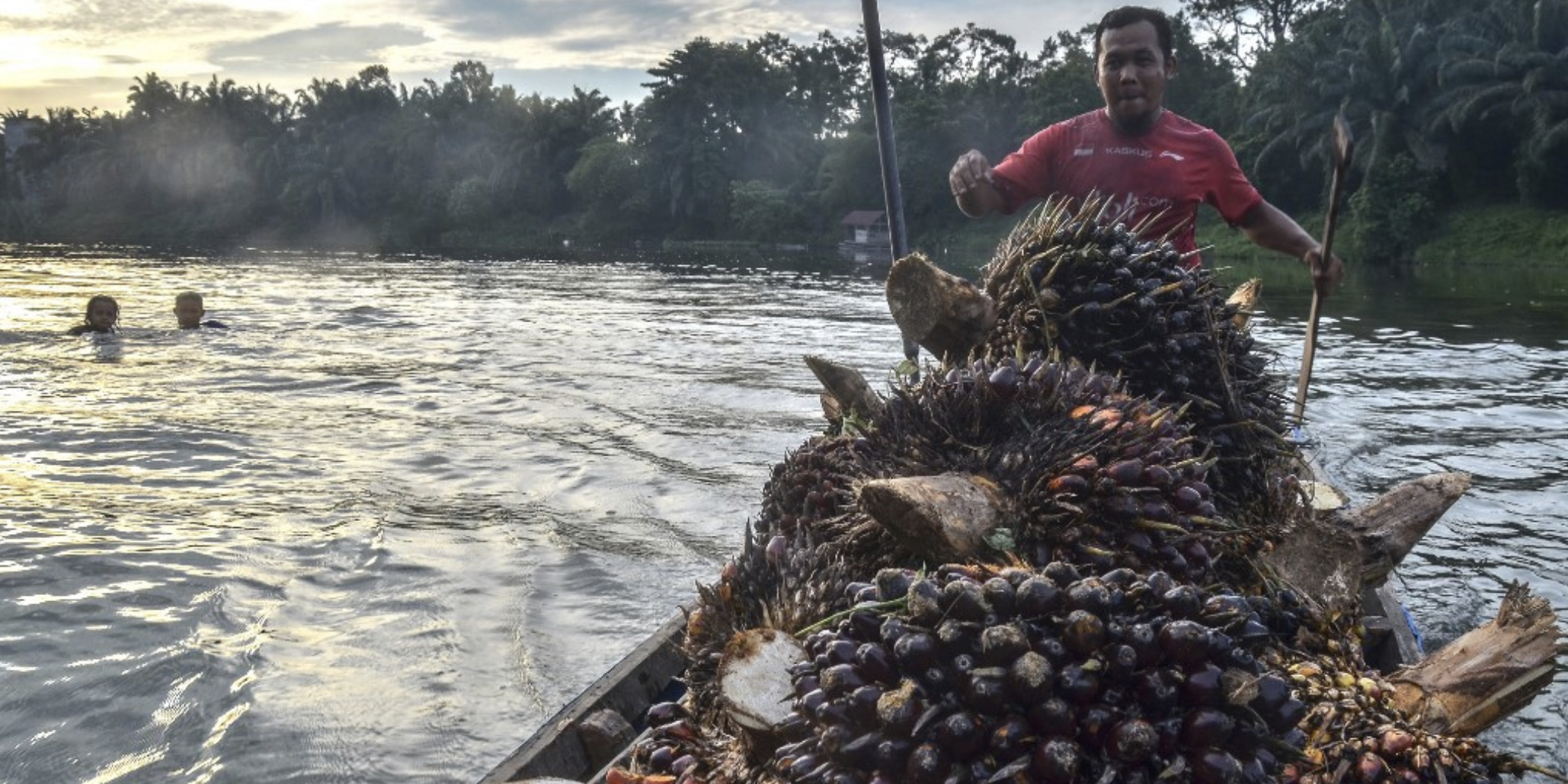 Screenshot 2024-05-22 at 10.20.54