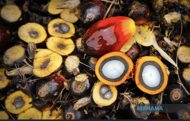 Screenshot 2024-05-29 at 08.03.09