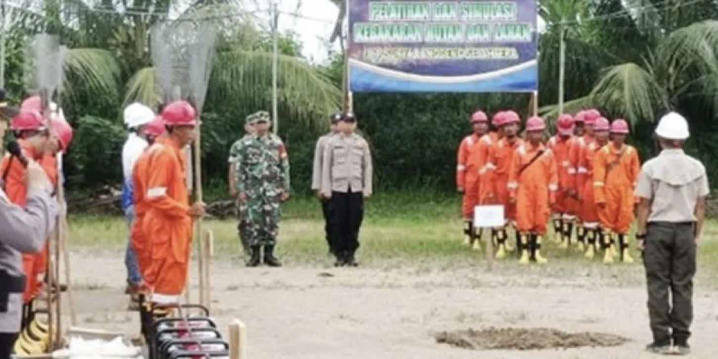 Screenshot 2024-05-30 at 15.19.42