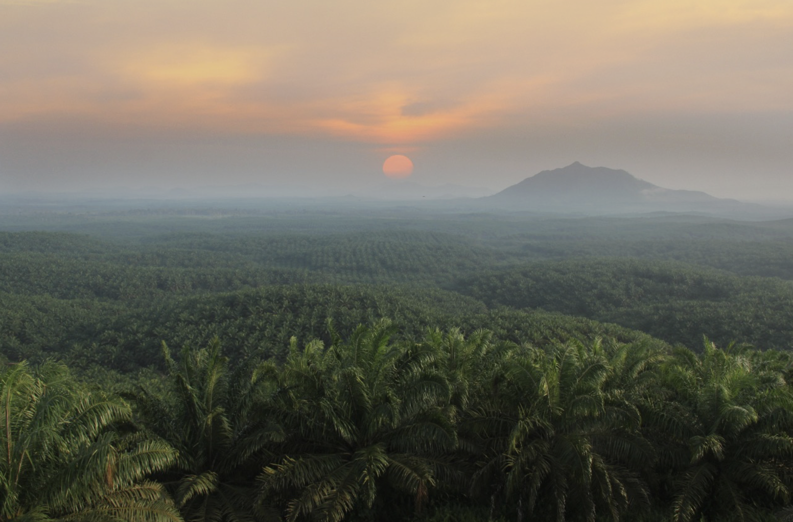 Screenshot 2024-05-30 at 15.22.04