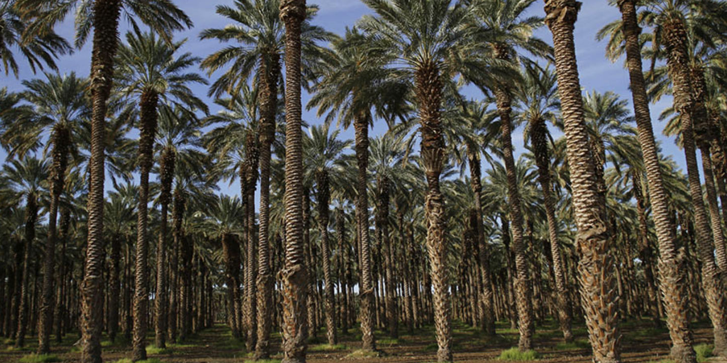 Screenshot 2024-05-30 at 15.55.56