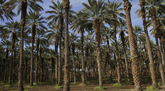 Screenshot 2024-05-30 at 15.55.56