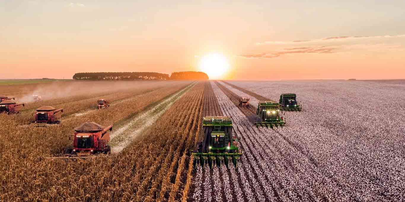 1Agricultural-Feedstock