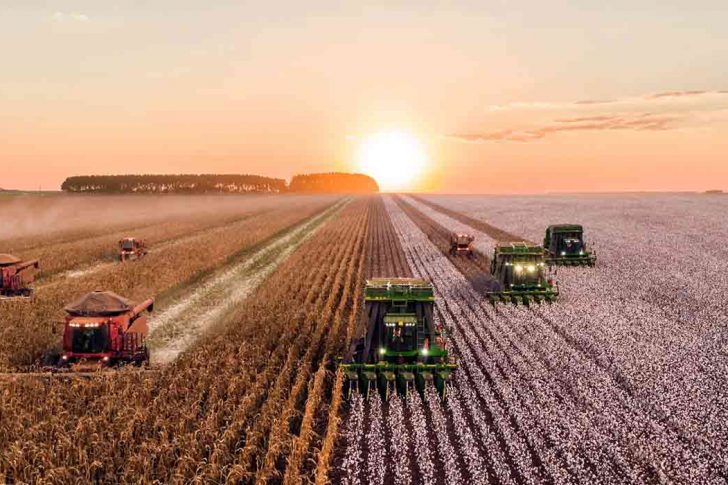 1Agricultural-Feedstock