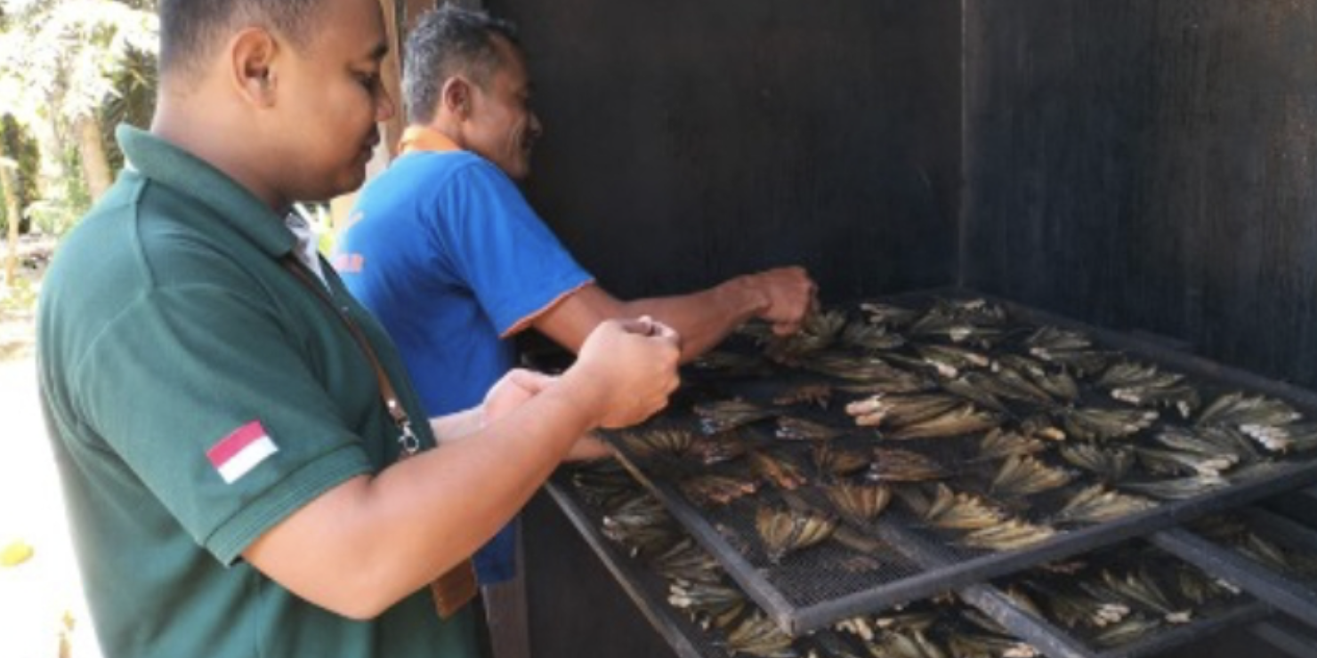 Screenshot 2024-06-07 at 16.20.20