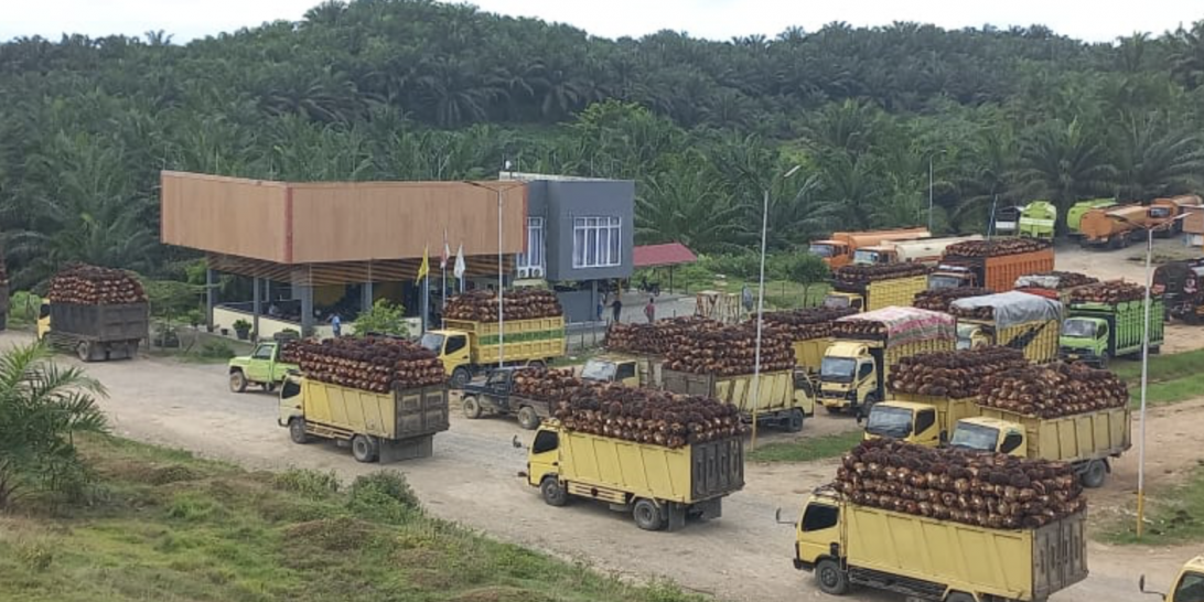 Screenshot-2024-06-13-at-08.16.08-1092×728