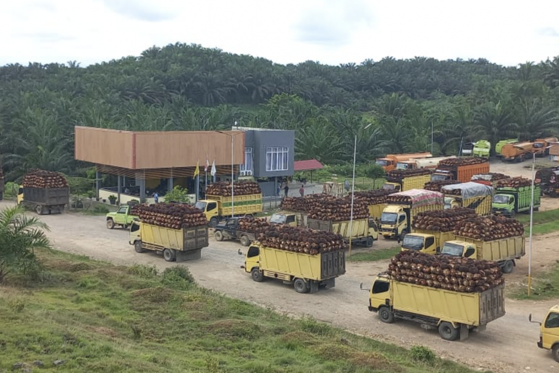 Screenshot-2024-06-13-at-08.16.08-1092×728