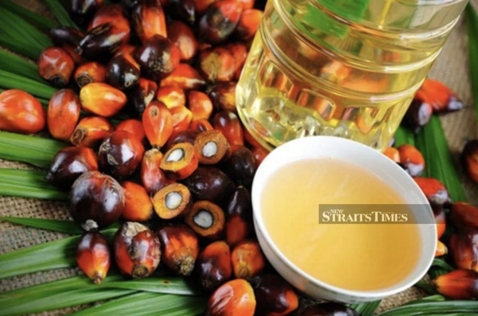 Screenshot 2024-06-19 at 09.04.12