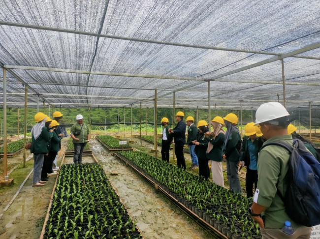 Screenshot 2024-06-20 at 08.43.36