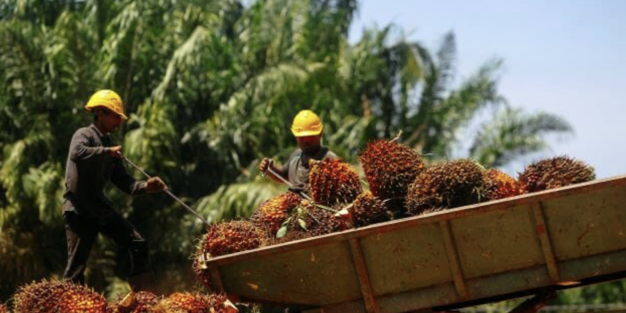 Screenshot 2024-06-27 at 10.20.56