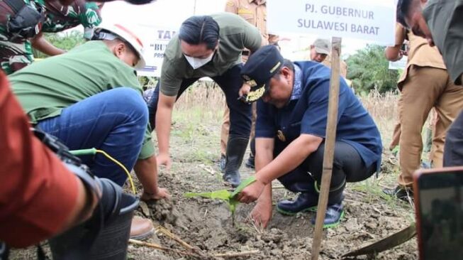 FB_IMG_1720812333957-653×366