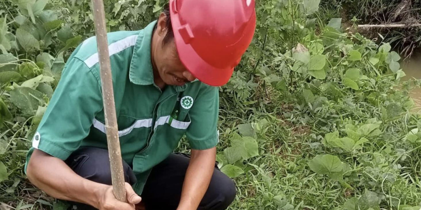 Screenshot 2024-07-01 at 08.25.38