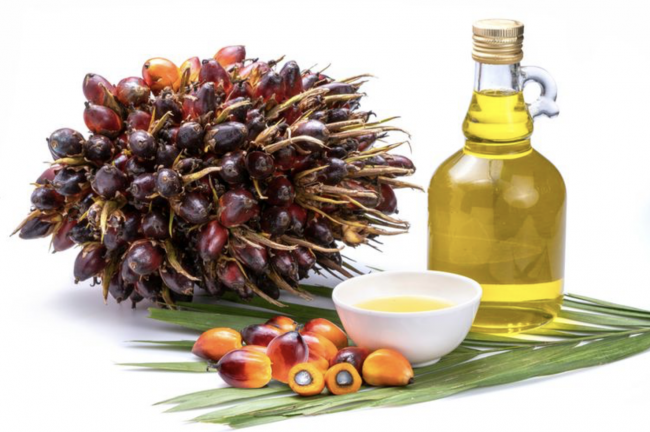 Screenshot 2024-07-01 at 11.25.52