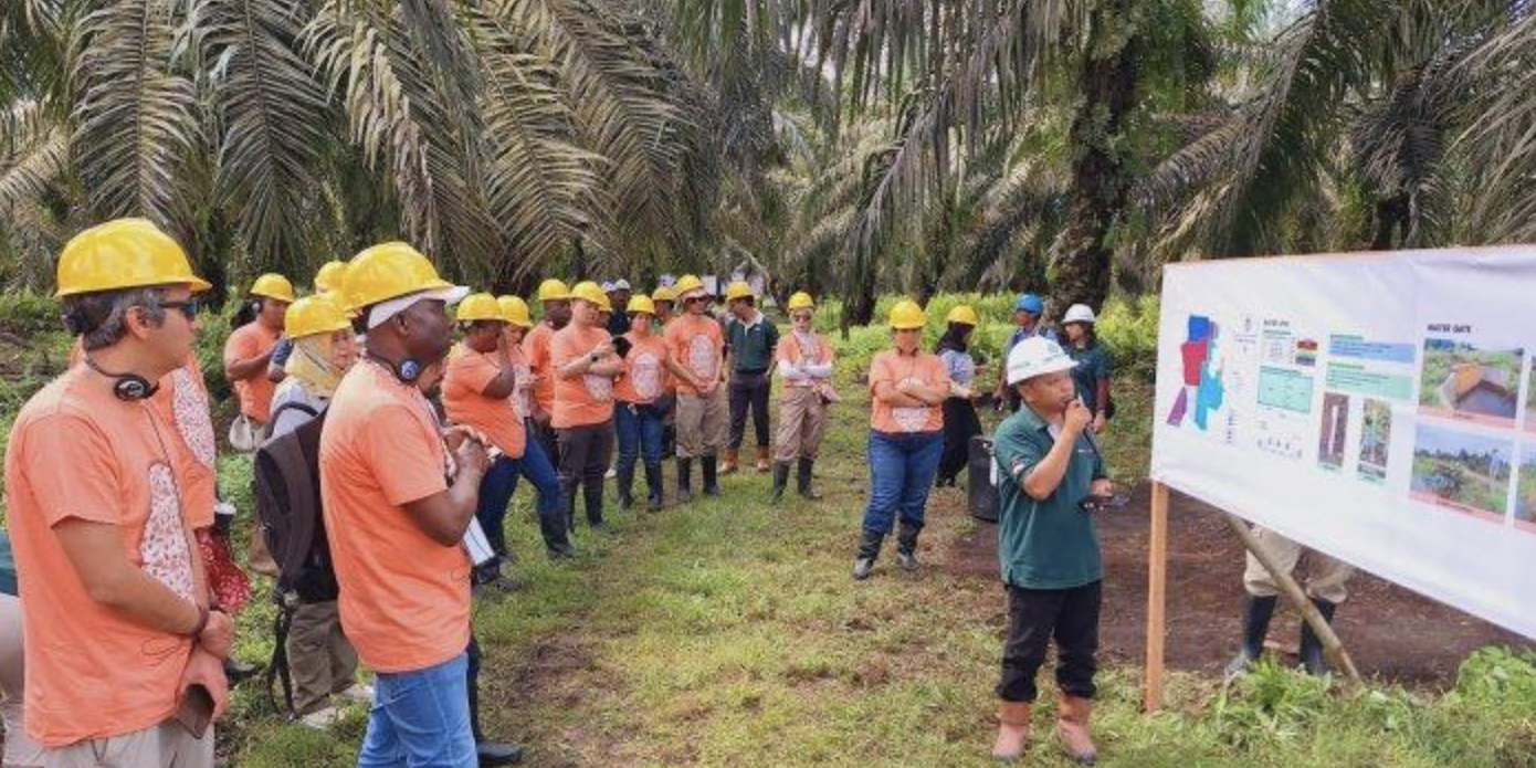 Screenshot 2024-07-04 at 16.52.49