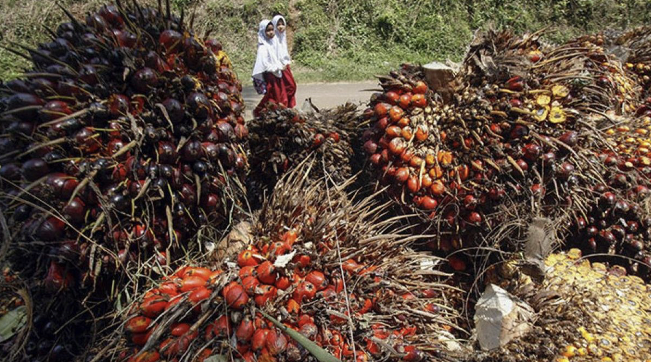 Screenshot 2024-07-05 at 16.33.27