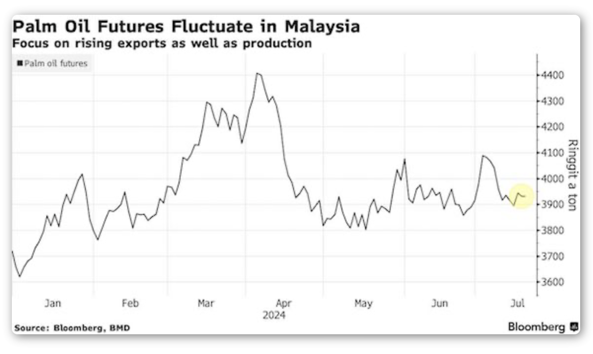 Screenshot 2024-07-22 at 08.59.59