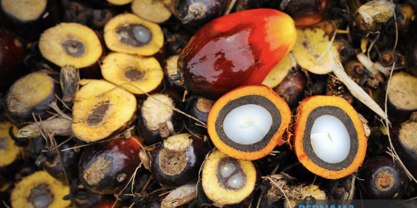 Screenshot 2024-07-22 at 09.05.04