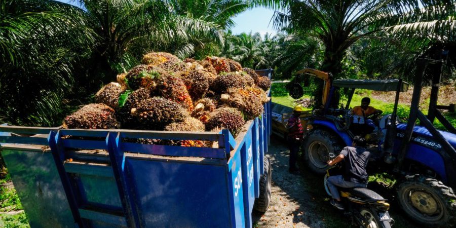 image-20230227201814