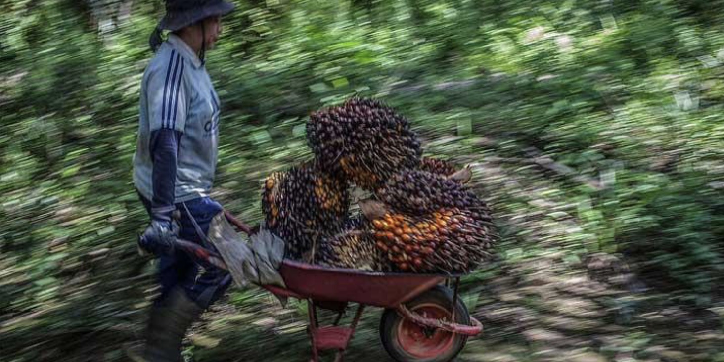 Screenshot 2024-08-20 at 08.29.36